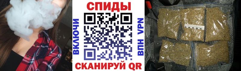 Купить где Бологое Бутират буратино