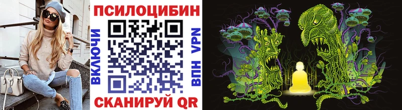Купить где  Бологое  Галлюциногенные грибы Psilocybine cubensis 